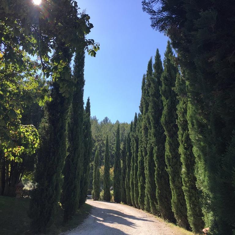 Agriturismo Monastero Di San Biagio Nocera Umbra Exterior foto